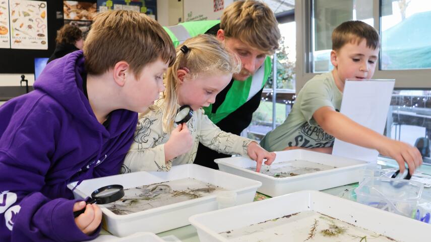 The third annual Ōtautahi Christchurch City Nature Challenge Awards night was held last week....