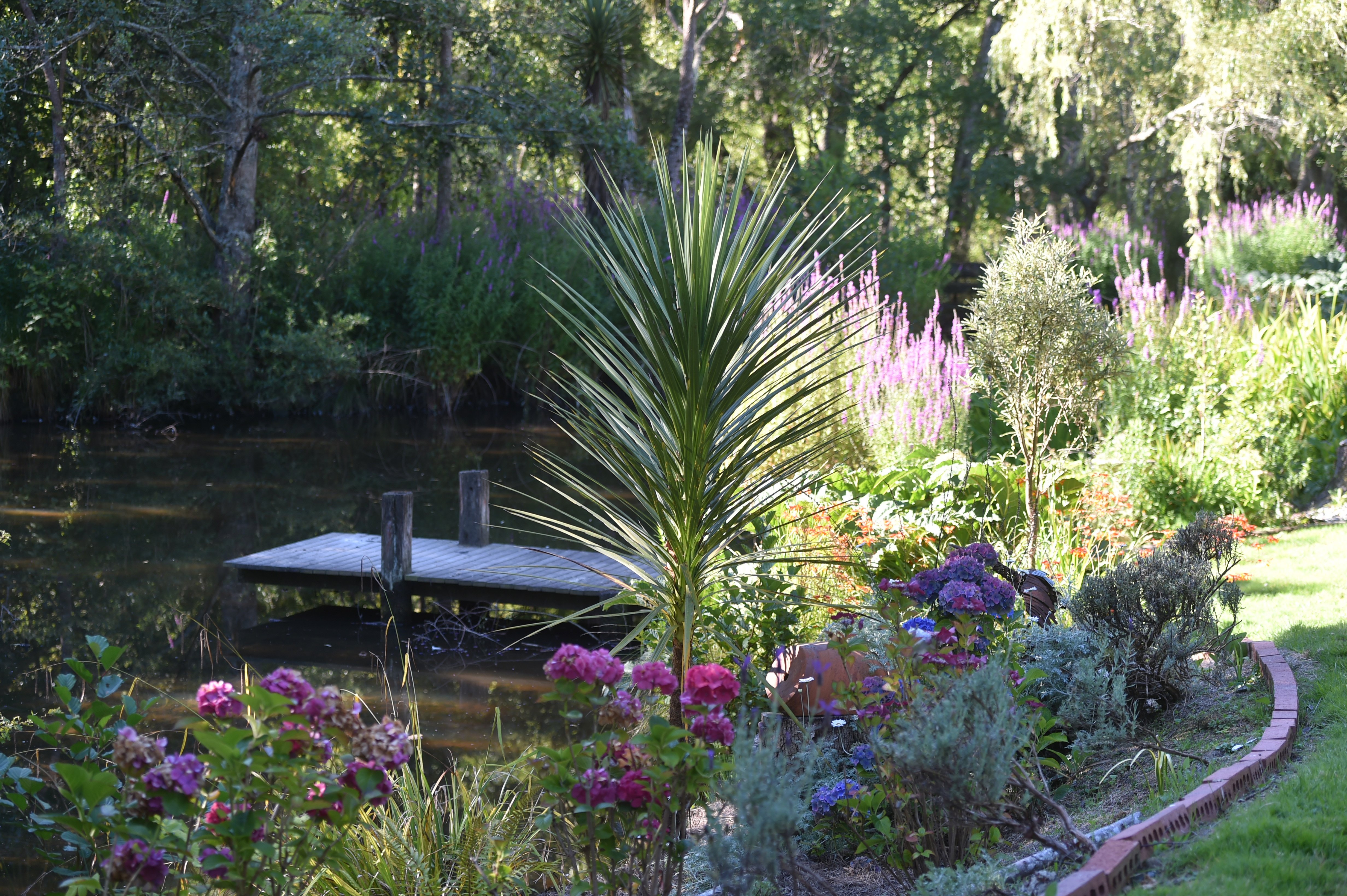 The garden was the setting for the Booiman's wedding 10 years ago. PHOTO: GREGOR RICHARDSON