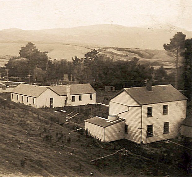 Post image 2
