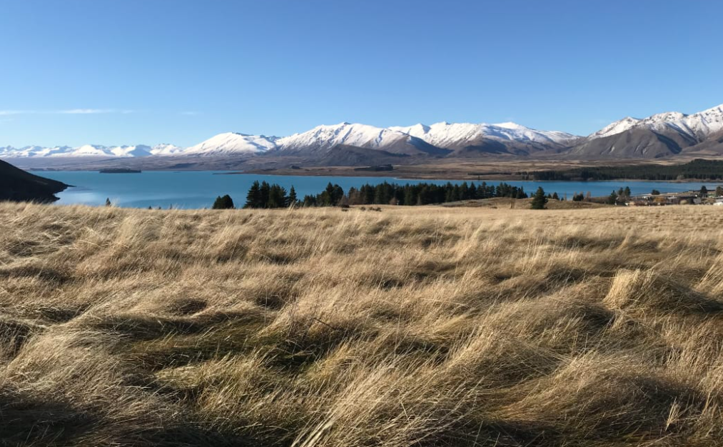 Crown land on the shores of Lake Tekapo in Canterbury. Photo: Supplied/ LINZ