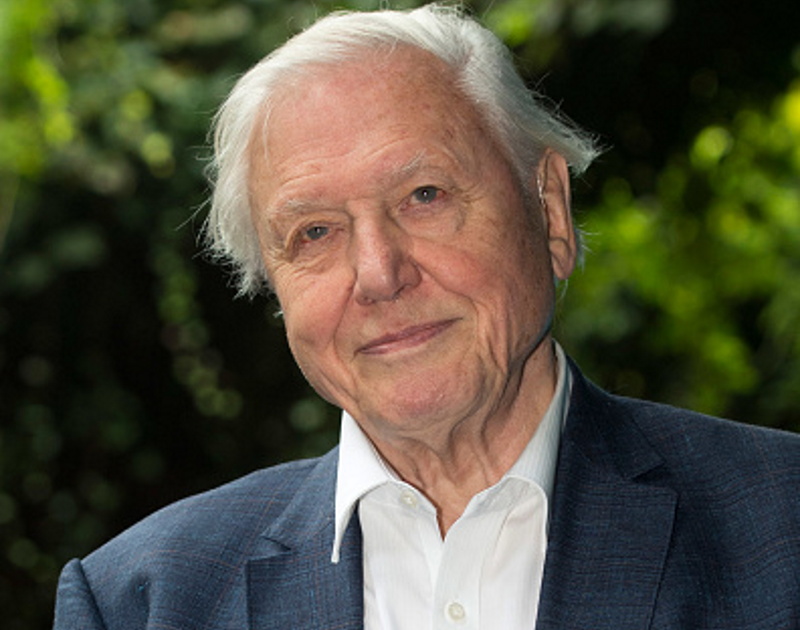 Sir David Attenborough's nature shows have been watched by hundreds of millions globally. Photo:...