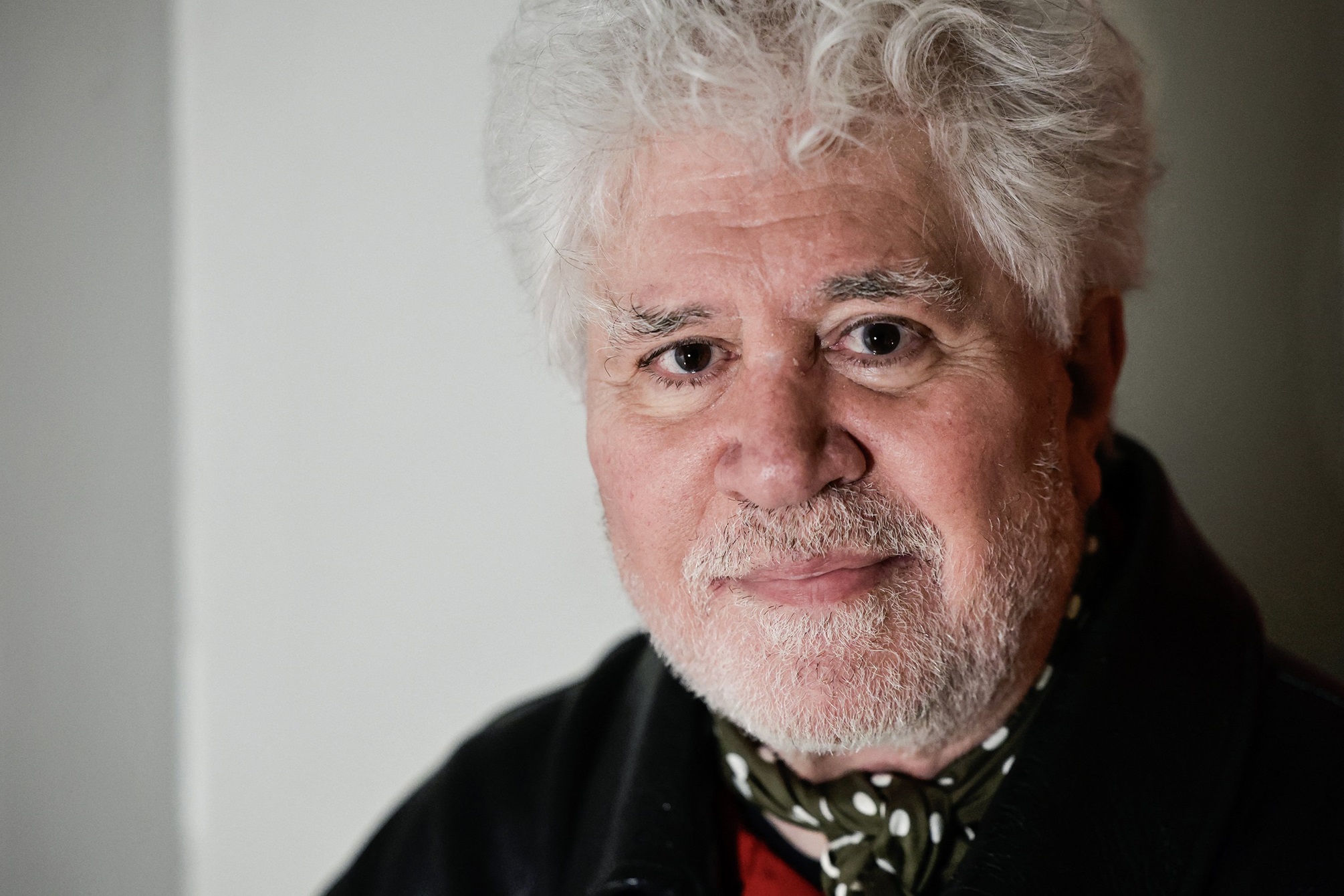 Spanish film director Pedro Almodóvar. Photo: Getty Images