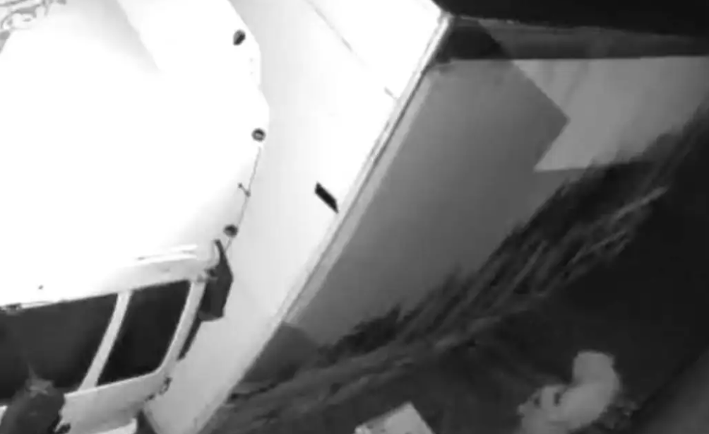 The thief allegedly drilled a hole into a large vegetable truck's fuel tank at Wilson's Vege farm...