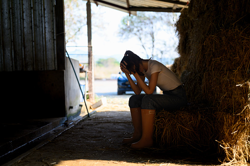 Rural Women New Zealand says more investment is needed in mental health support. Photo: Getty...