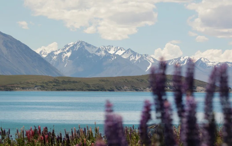 Photo: RNZ / Rebekah Parsons-King
