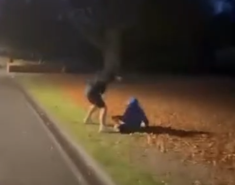 A video appears to show an attack in Invercargill’s Queens Park. Image: Facebook