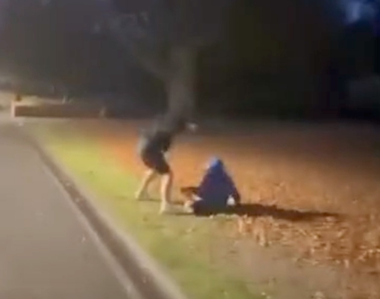A video appears to show an attack in Invercargill’s Queens Park. Photo: Facebook
