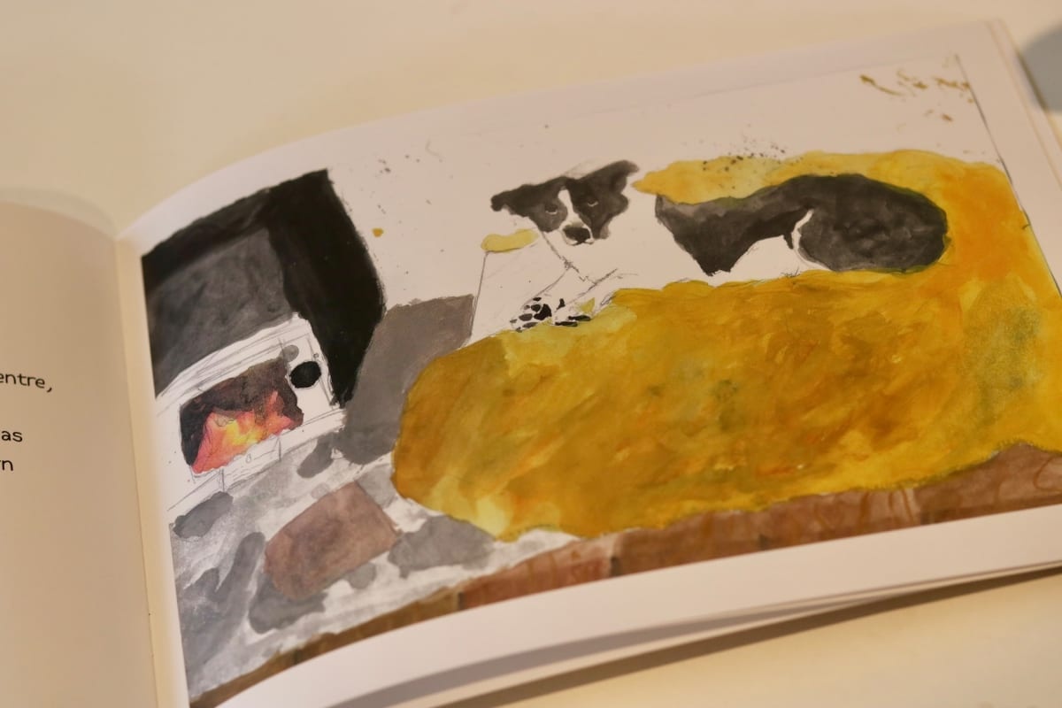 Hebe, as captured in the new book. Photo: RNZ