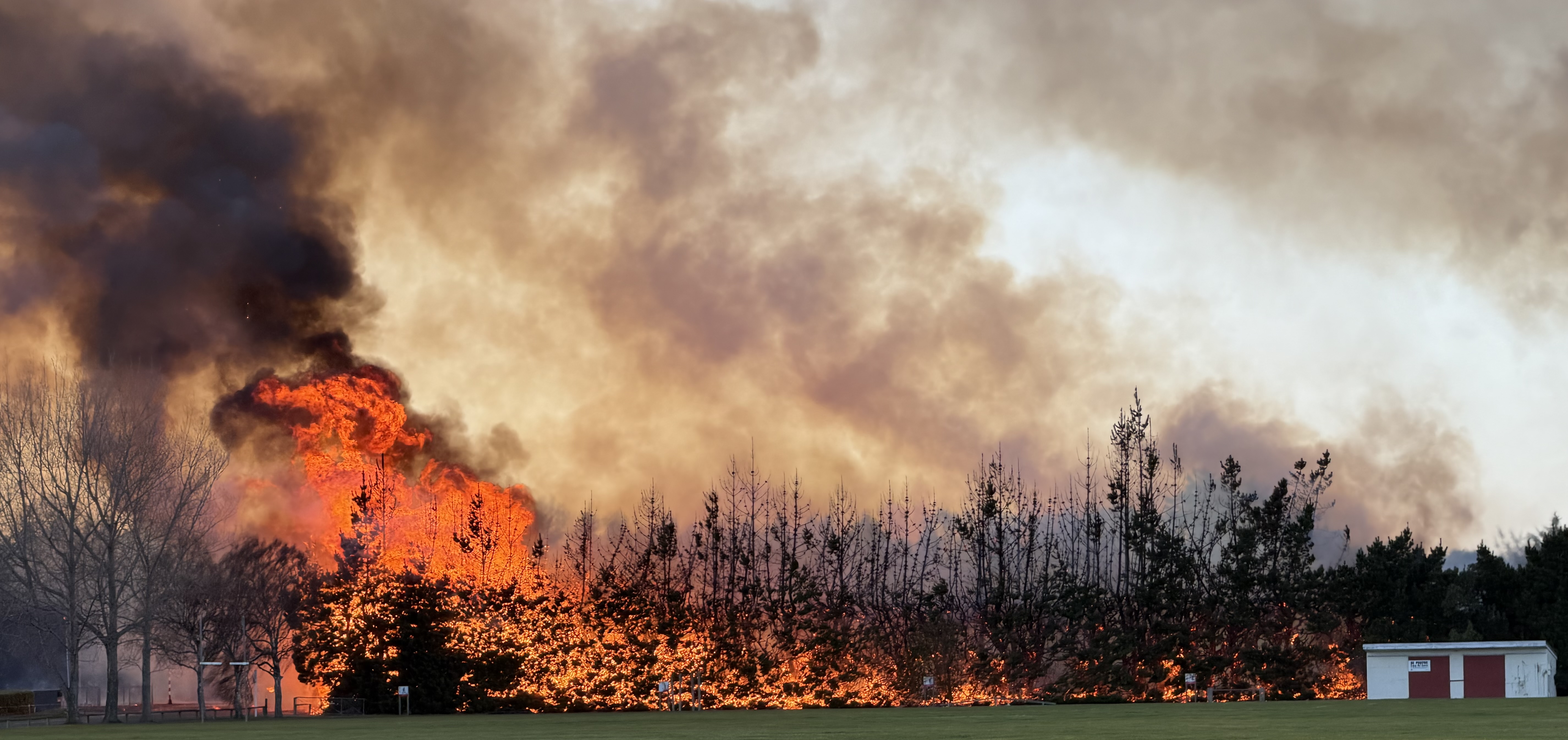 Fire rages in the treeline near sports fields at Waitaki Boy's High School. PHOTO: NIC DUFF