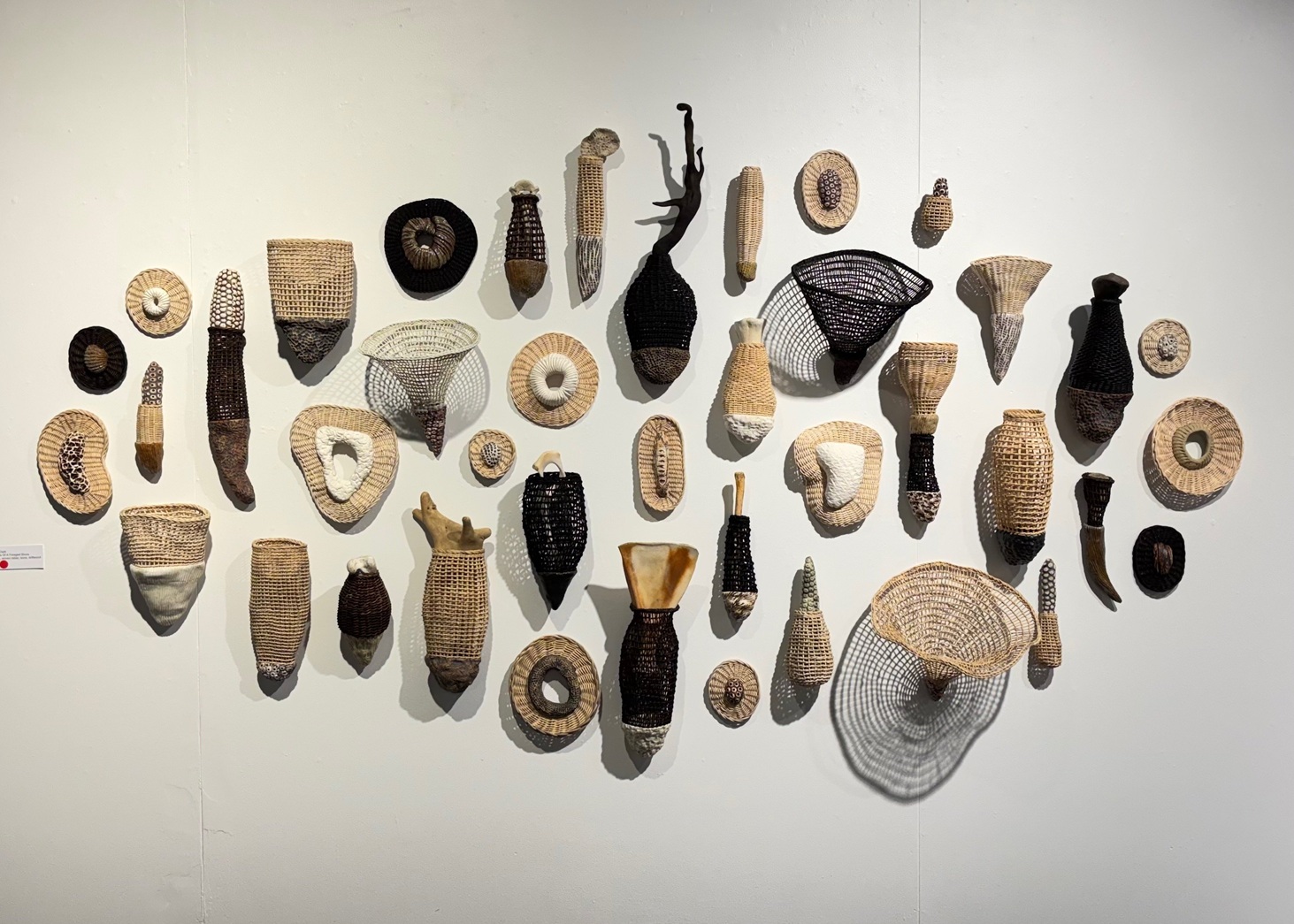 Fragments of a Foraged Shore, by Jasmine Clark. PHOTO: L ELLIOTT