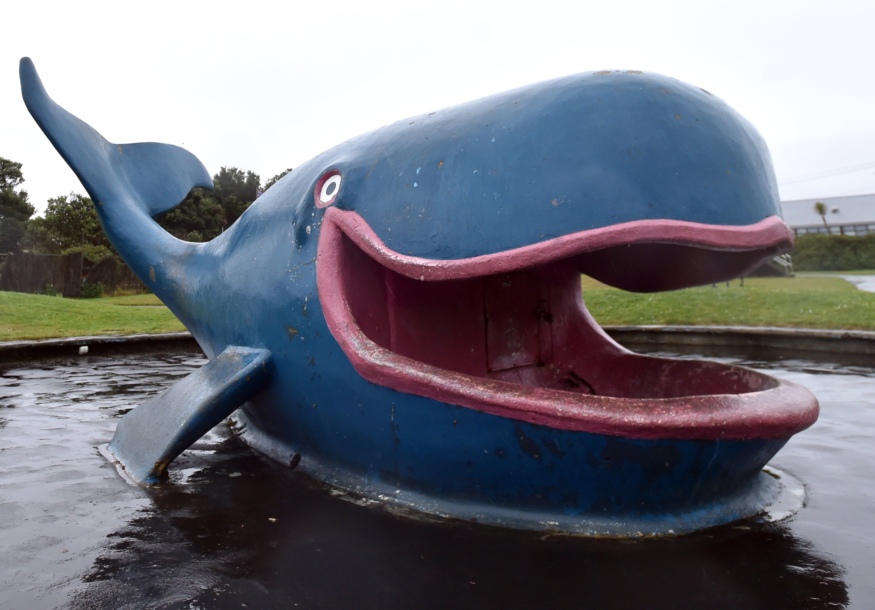 Under current plans for upgrades to Marlow Park, the concrete whale would be replaced with a new,...