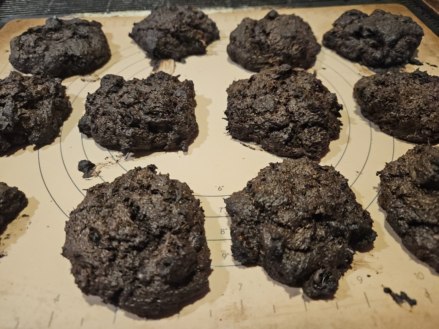 The honey locust pod flour seemed to work well enough in biscuits, but left an awful bitter...