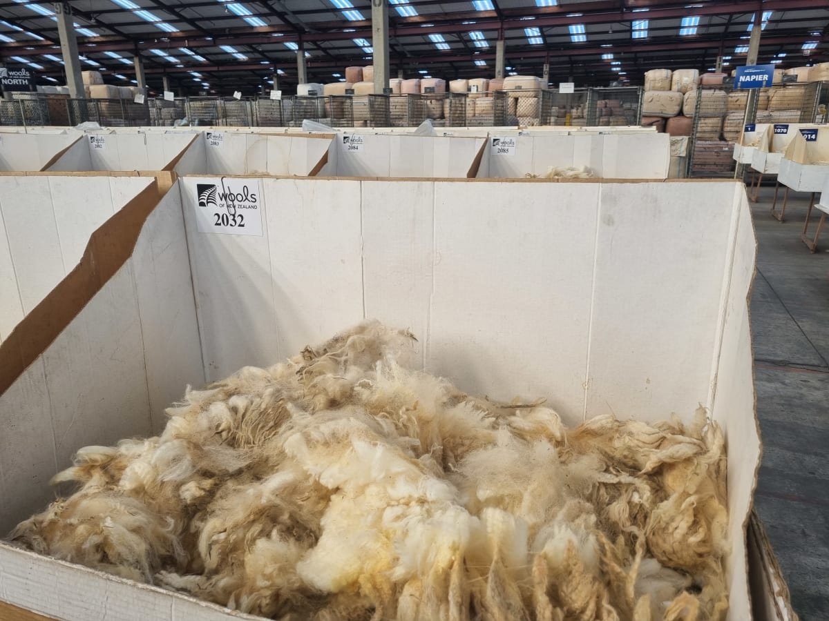 Prices ranged between $6.47 to $6.80 a kilogram for crossbred fleeces. Photo: RNZ