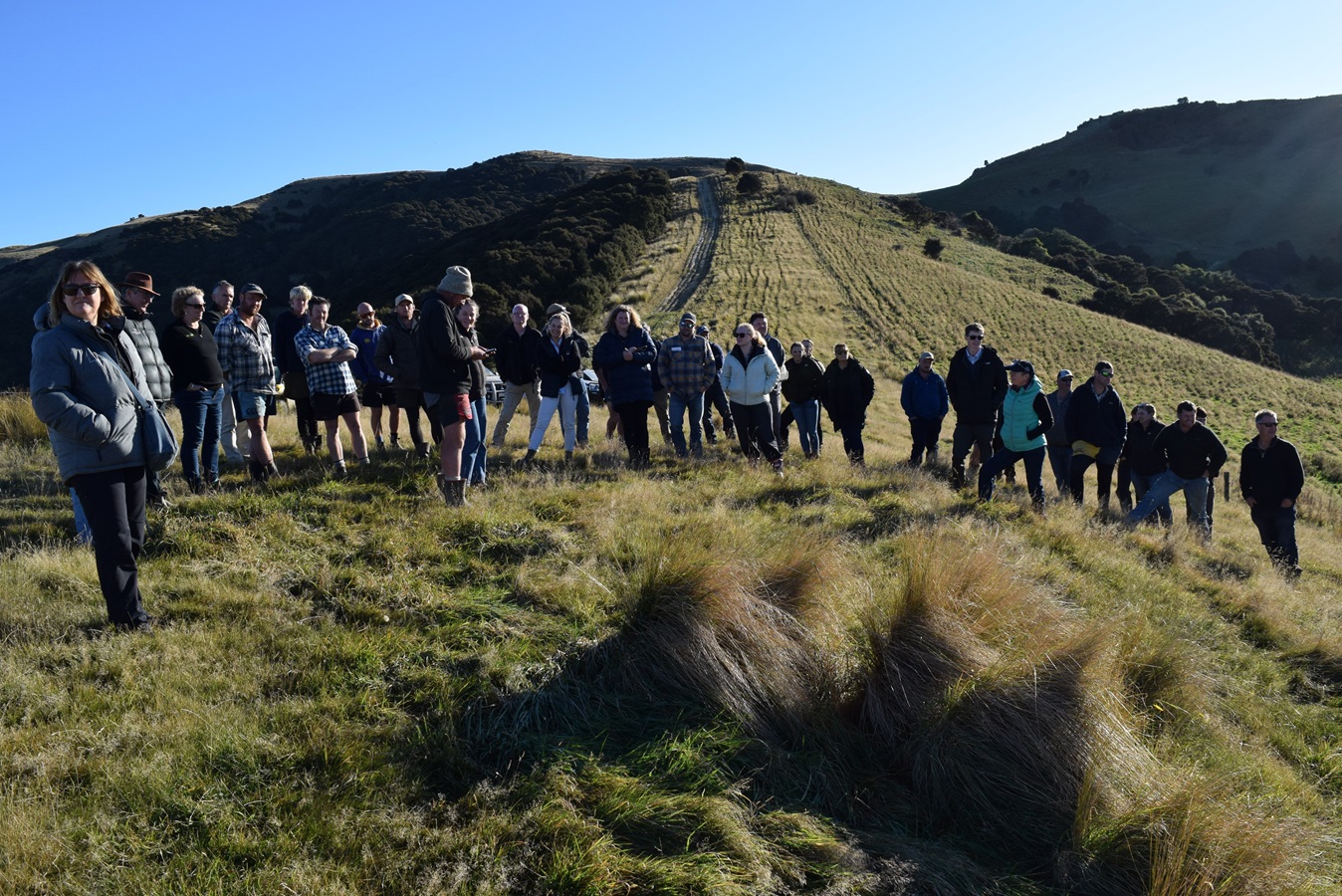More than 30 people attended a Beef + Lamb workshop on sheep and beef properties owned by 4...