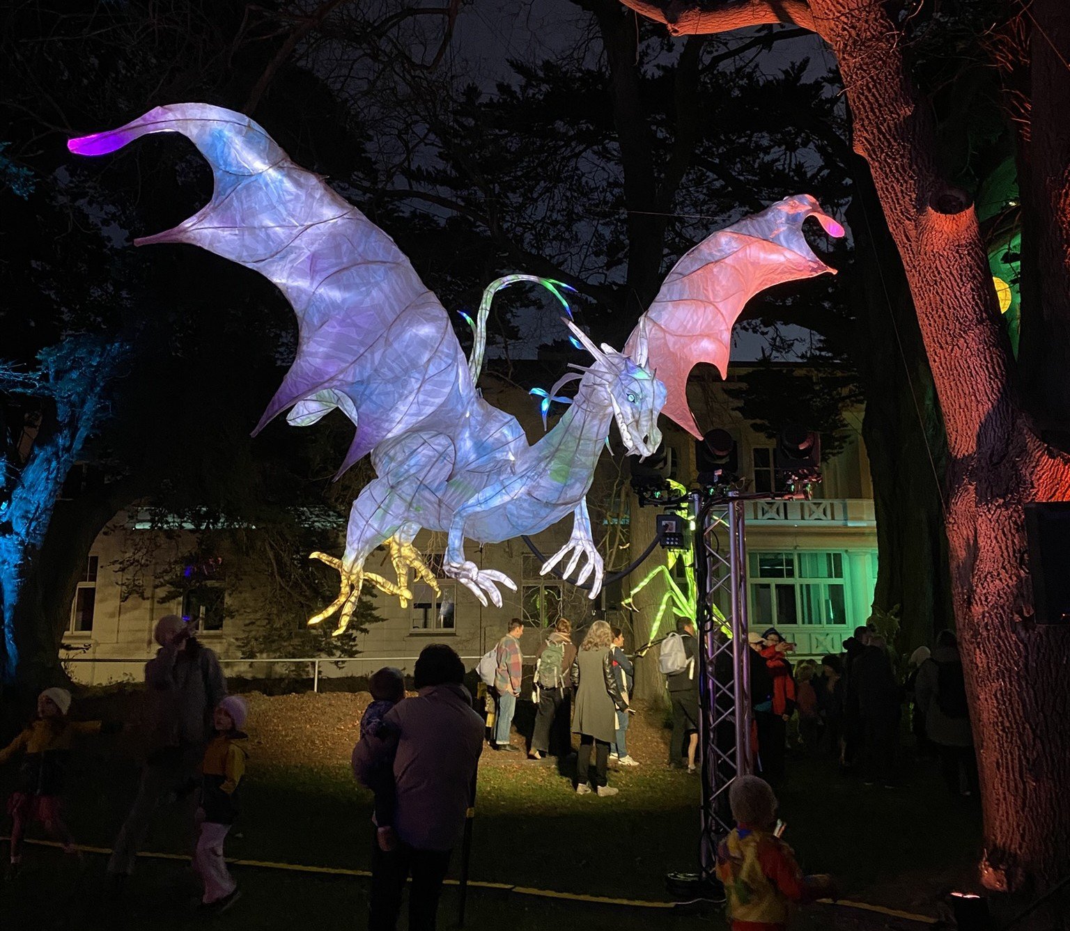 The popular dragon lantern flies above families enjoying last weekend's Dunedin Midwinter Carnival.