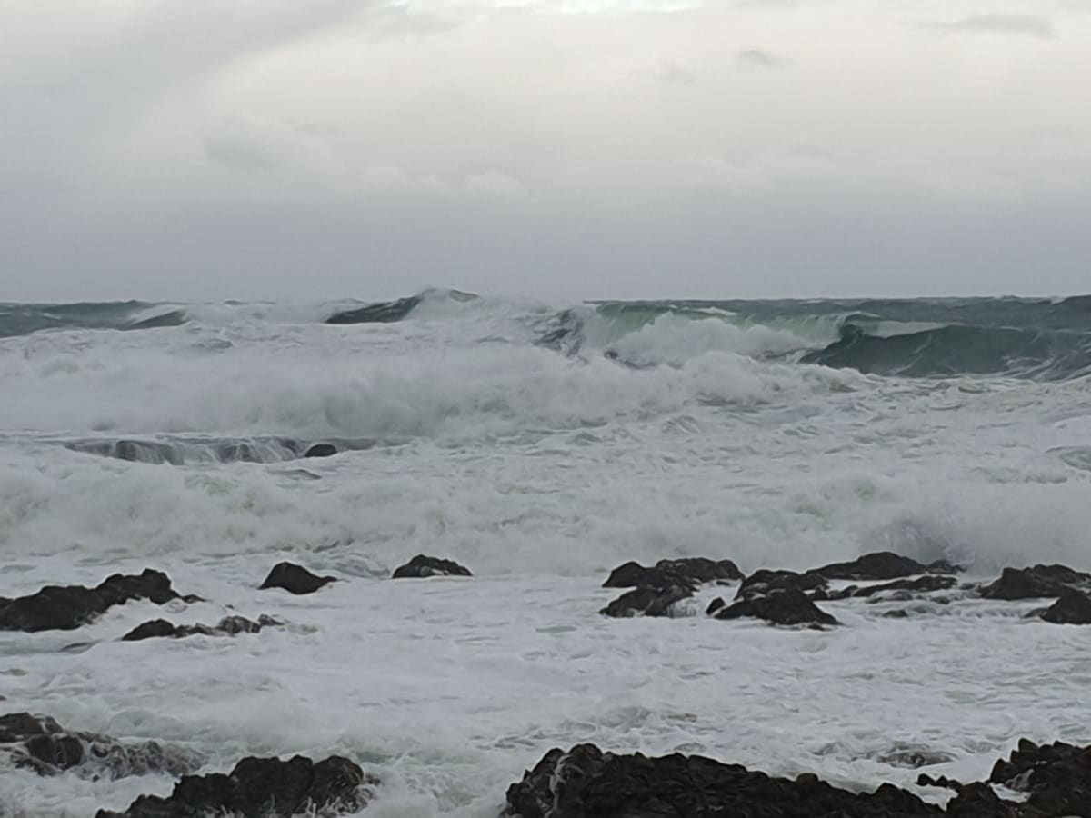 Rough swells churn on Wellington's south coast. Photo: RNZ (file)