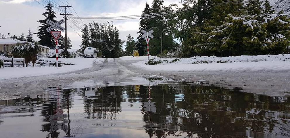 Snow in Kingston this morning. Photo Warren Williams