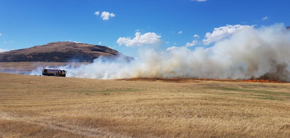 Fire crews were called to the parched area about 4.20pm. Photo: Alister Brown