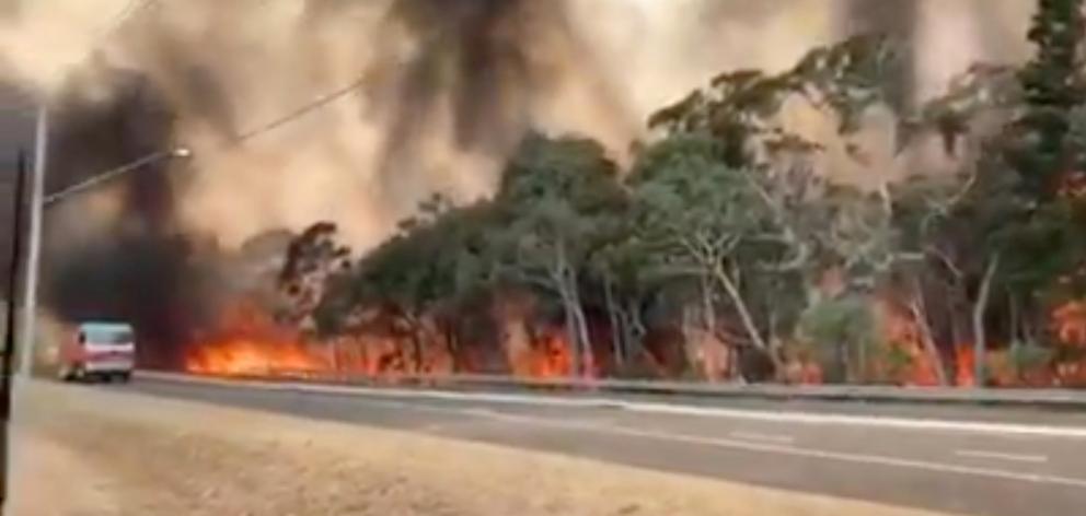 Flames engulf a row of trees at the side of a road at Gospers Mountain in New South Wales on...