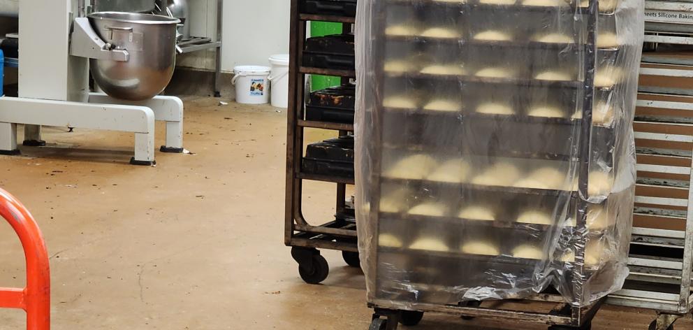 Rat droppings surrounding a mixing bowl in what appears to be the supermarket's bakery section.