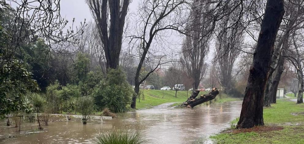 The Ōpāwaho / Heathcote River in Somerfield this morning. Photo: Supplied / Karl Boielle