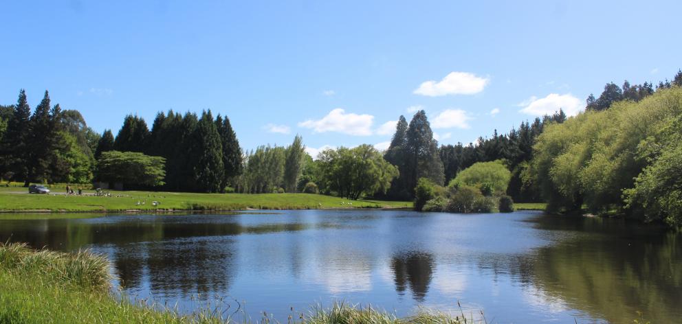 An updated reserve management plan is required for  Donovan Park - a 79ha space on the outskirts...