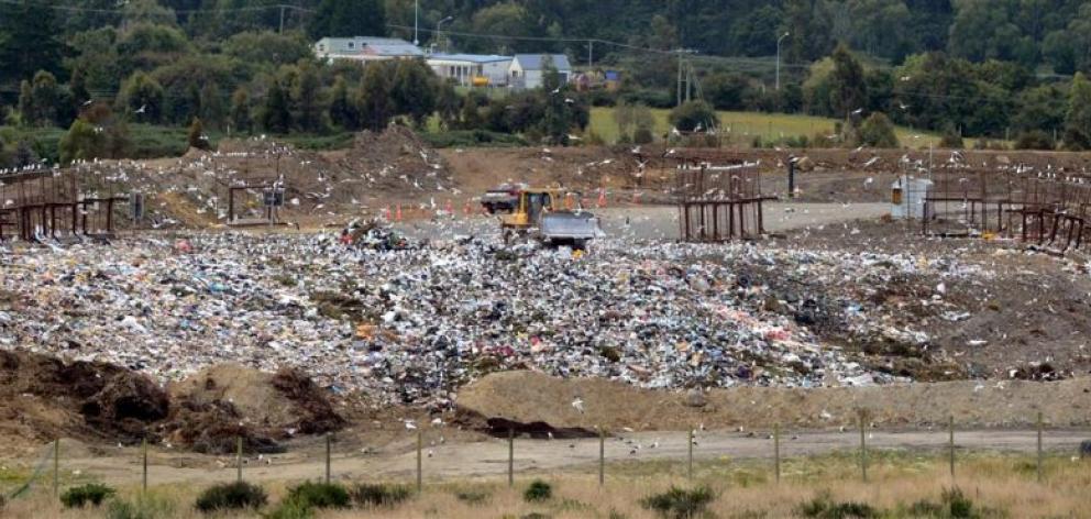 The Green Island landfill. Photo by Gerard O'Brien.