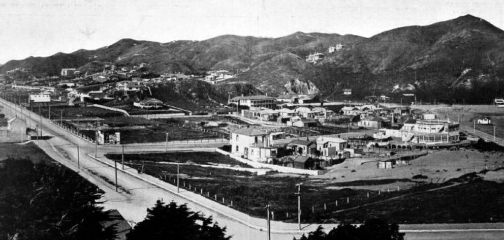 A panorama of the rapidly-growing residential locality of Island Bay, near Wellington, from the hillside. - Otago Witness, 3.9.1913.