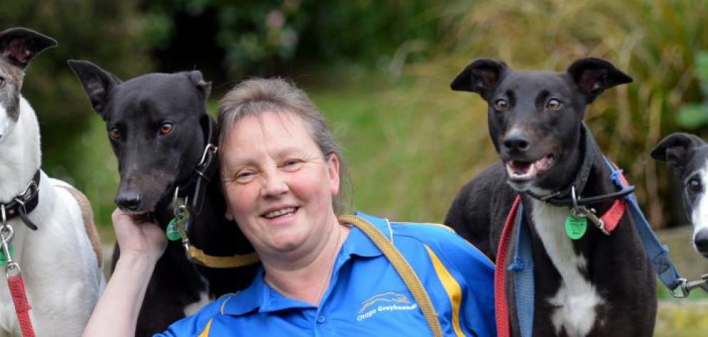 Dunedin greyhound trainer Sandra Keen with her racing greyhounds (from left) Shez Keen, Business Boss, Sandi Claws and their mother Willy Mina.  Photo by Stephen Jaquiery.