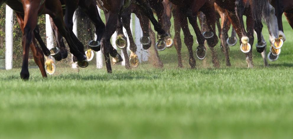The report recommends thoroughbred racing at Timaru, Kurow, Oamaru, Waimate, Omakau, Winton and...