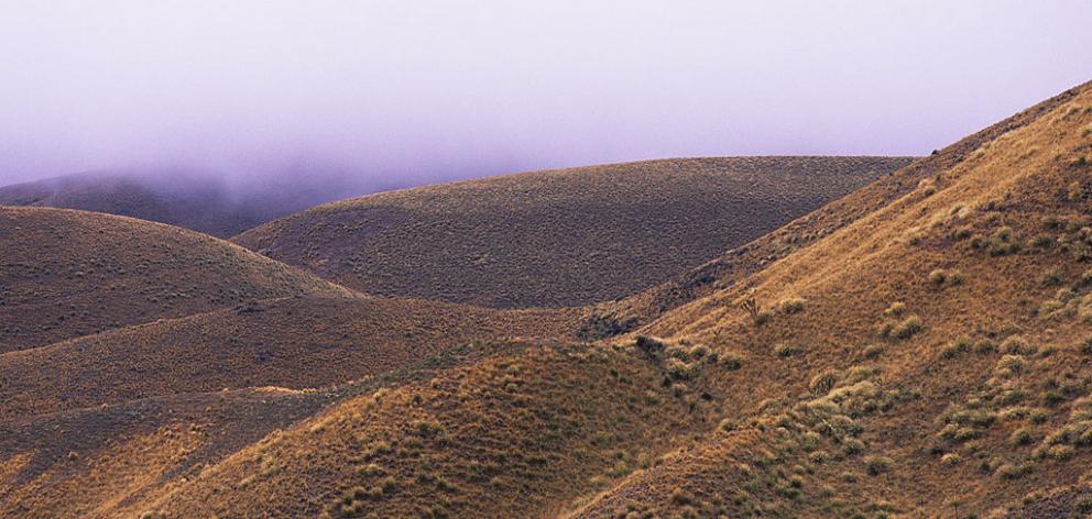 Central Otago and Upper Waitaki will enter restricted fire seasons on Monday. Photo: Getty Images