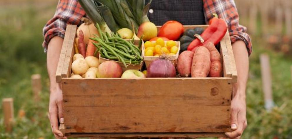 A wet autumn has pushed vegetable prices up. Photo: Getty Images 