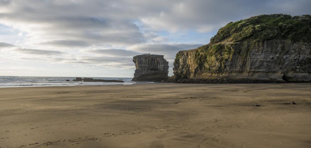 Muriwai Beach in Auckland. Photo: Getty Images