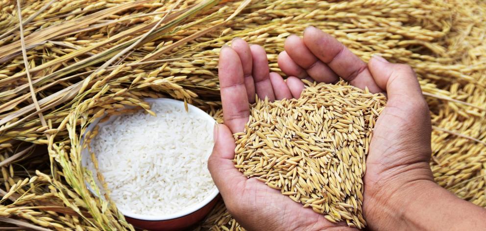 Beneficial carbohydrates are minimally refined grains. Photo: Getty Images 