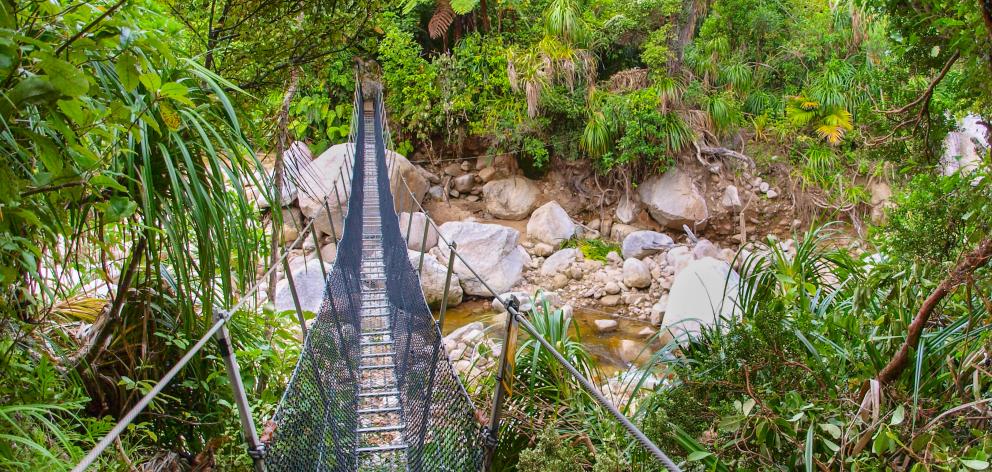 The Heaphy Track in Kahurangi National Park is one of the country's Great Walks. Photo: Getty...