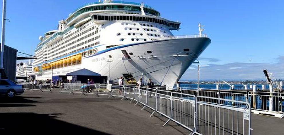 Lisa Spearman was injured while working on Voyager of the Seas. Photo: NZ Herald 