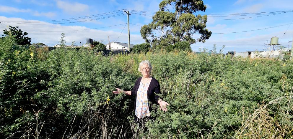 Greenpark Huts bach owner Dianne Magill standing on a former hut site Ngāi Tahu has taken over....