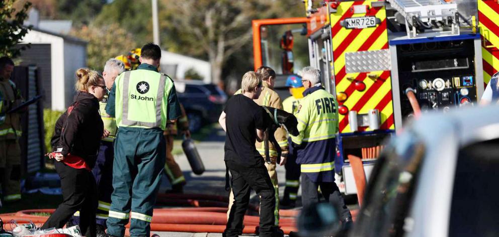 Sophie the dog was rescued from a house fire in Kaiapoi. Photo: George Heard
