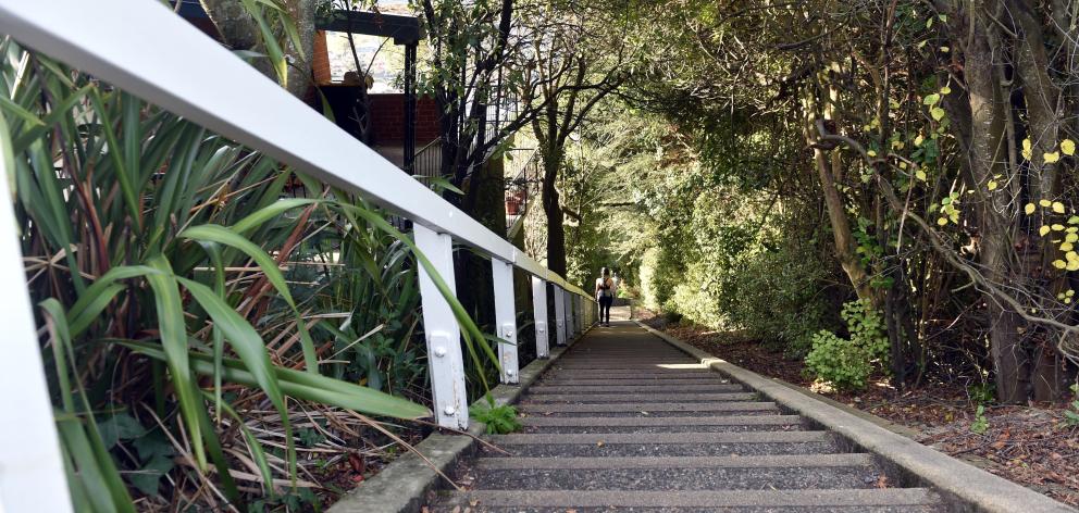 The 279 steps of Jacob's Ladder emerge onto Ravenswood Rd and a heavenly view. Photo: Peter...