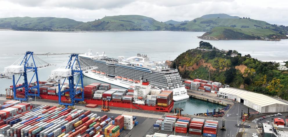 The cruise ship Majestic Princess docked at Port Chalmers in October last year. Photo: Peter McIntosh