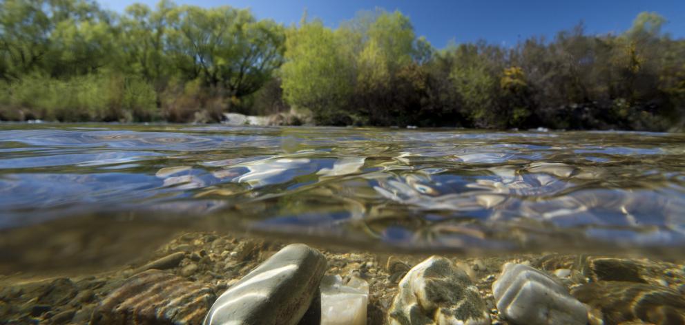 The Manuherikia River and the science required to protect it became a focal point for freshwater...