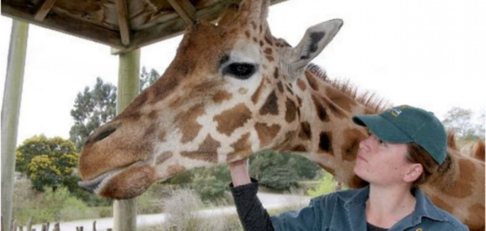 Police say a number of animals at Orana Wildlife Park have been 'adversely impacted'. File photo:...