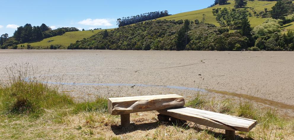 A good spot for listening to the birds.