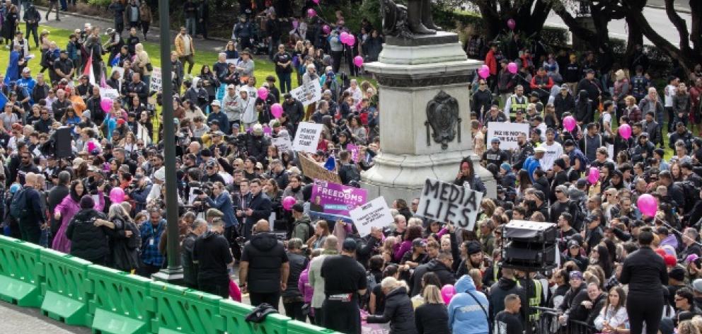 Protesters assembled at Parliament today. Photo: NZ Herald