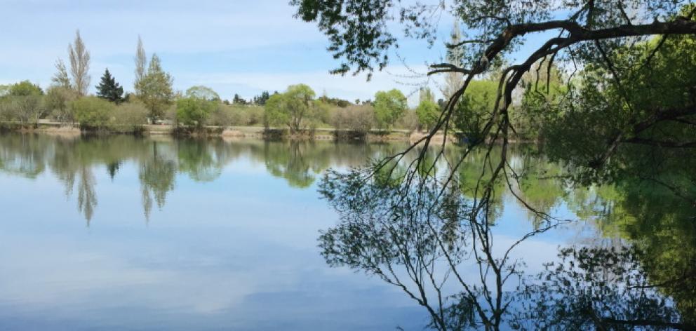 Roto Kohatu Reserve. Photo: Christchurch City Council