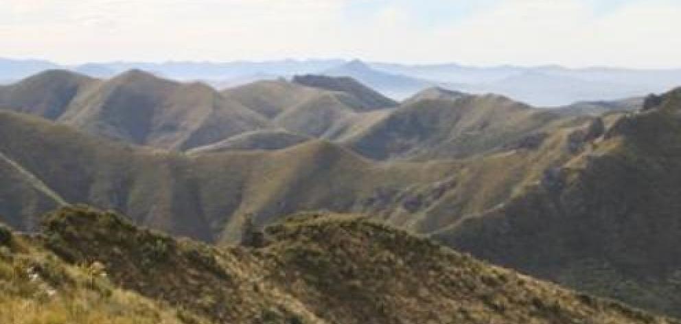 The wilds of the Silver Peaks, near Dunedin. Photo: ODT