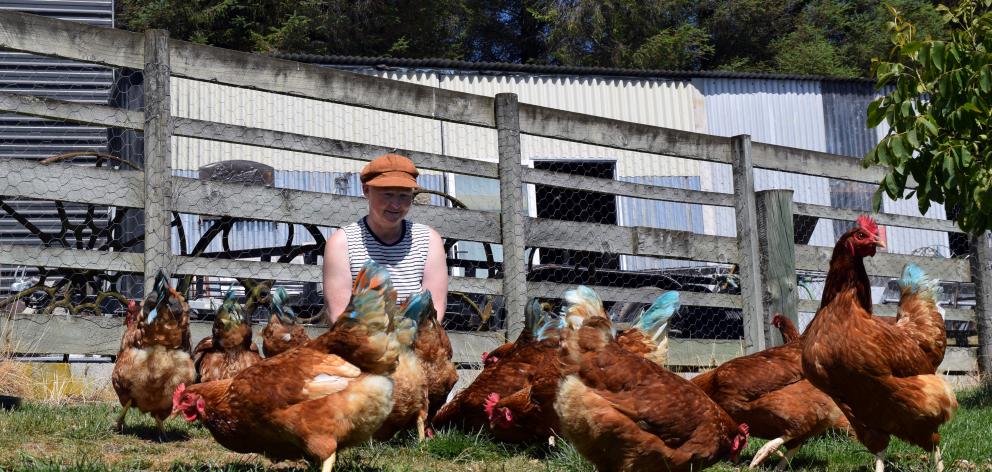 Pauline Rietveld, of Saddle Hill, feeds her flock of chickens. PHOTO: SHAWN MCAVINUE...