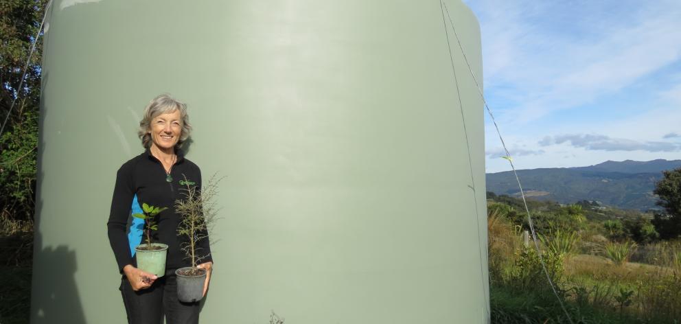 Chris Baillie says she is pleased to have a new water tank which was bought with the help of Speight's funding. PHOTO: ANGELA REID
