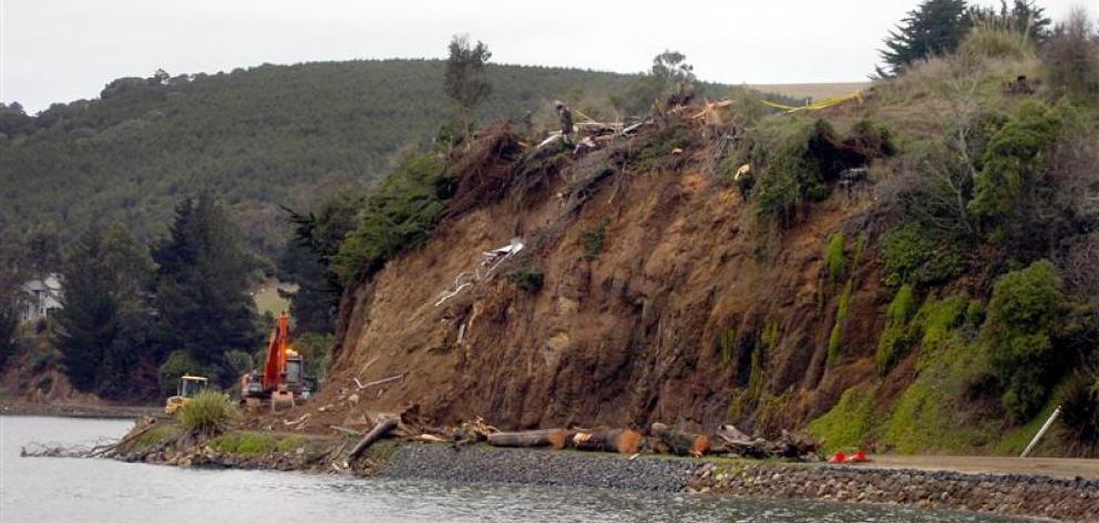 Portobello Rd remained closed last night after a fall of earth and large macrocarpas on Saturday...