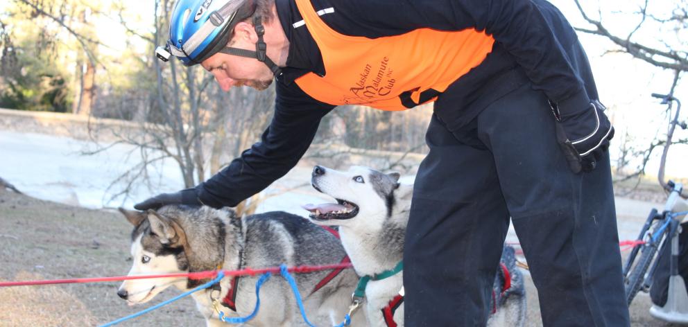 Driver Colin Whitley makes sure his dogs are ready to go before setting off on the Southern...